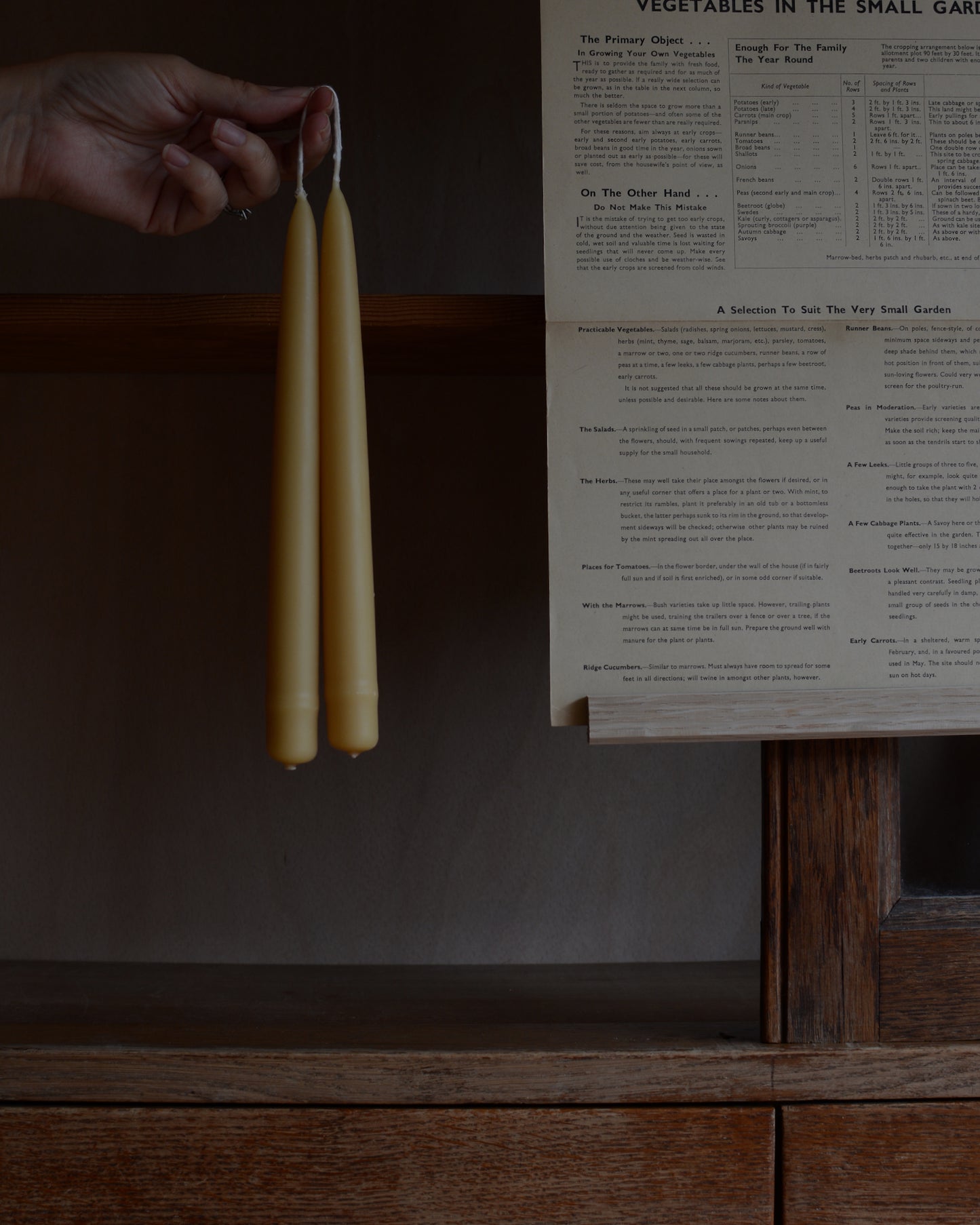 A pair of pure beeswax dinner candles, being held in the hand alongside a book page.