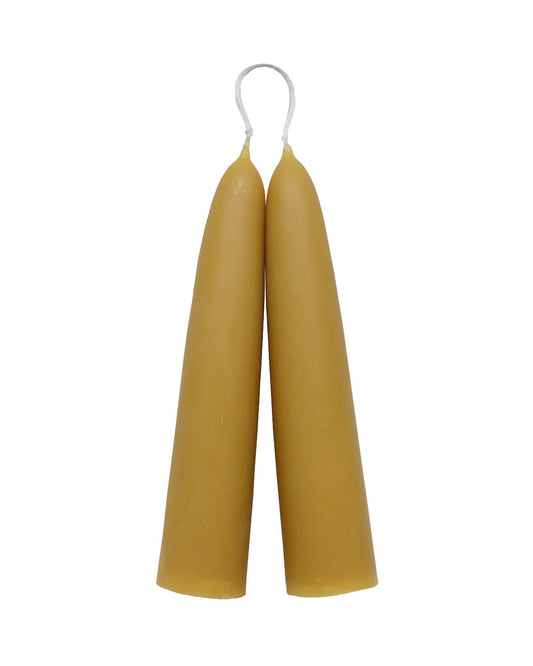 Large stubby beeswax candles on a white background.