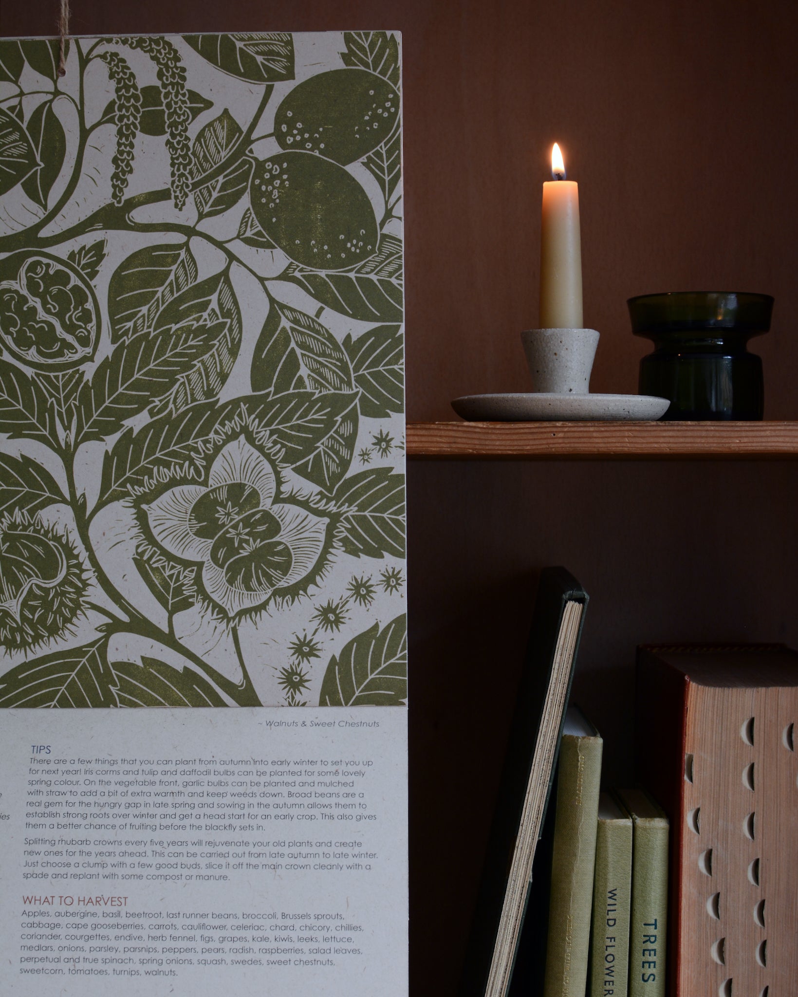 A pure beeswax short taper candles, in a ceramic candle holder, next to a botanical print.