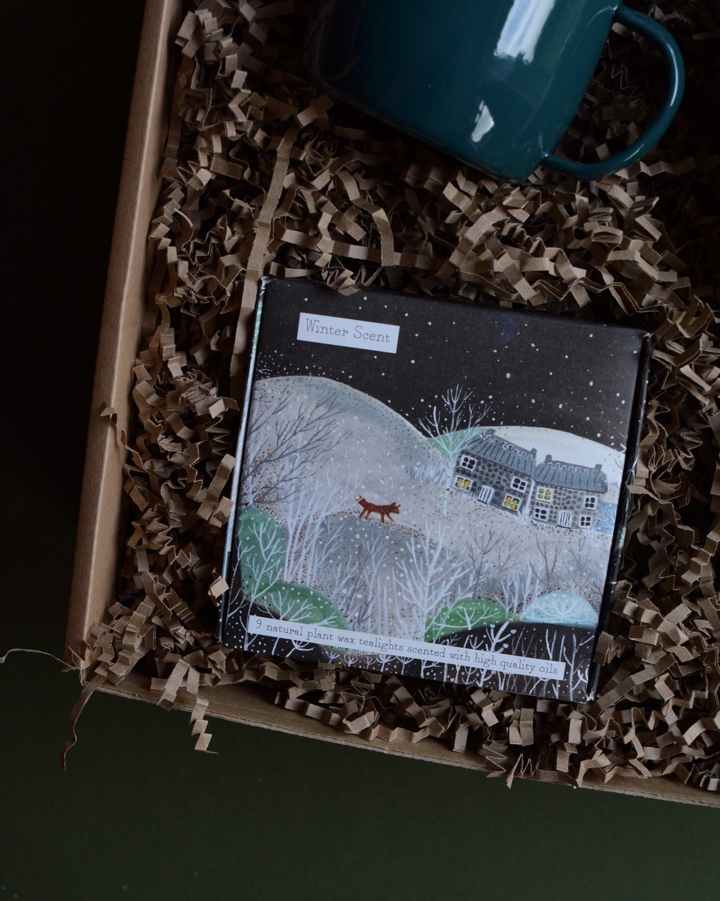 A wool hot water bottle, green enamel mug, and box of tealights in a gift box, shown on a green background.