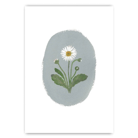 Daisy Botanical Print