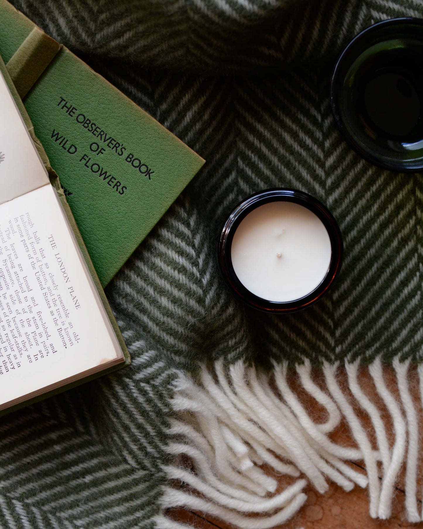 Green fig scented soy candle by The Botanical Candle Co, on top of a green woollen blanket.