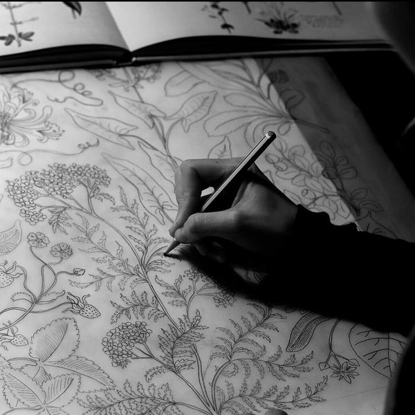 Artist drawing a botanical print