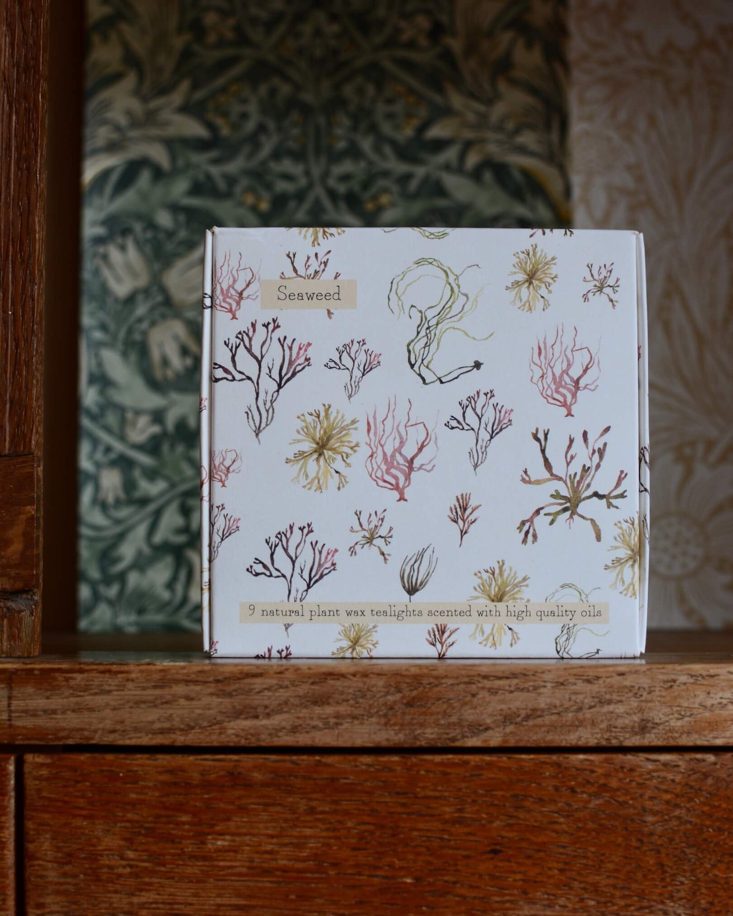 A box of nine tealights, with an illustrated box featuring watercolour illustrations of seaweed.