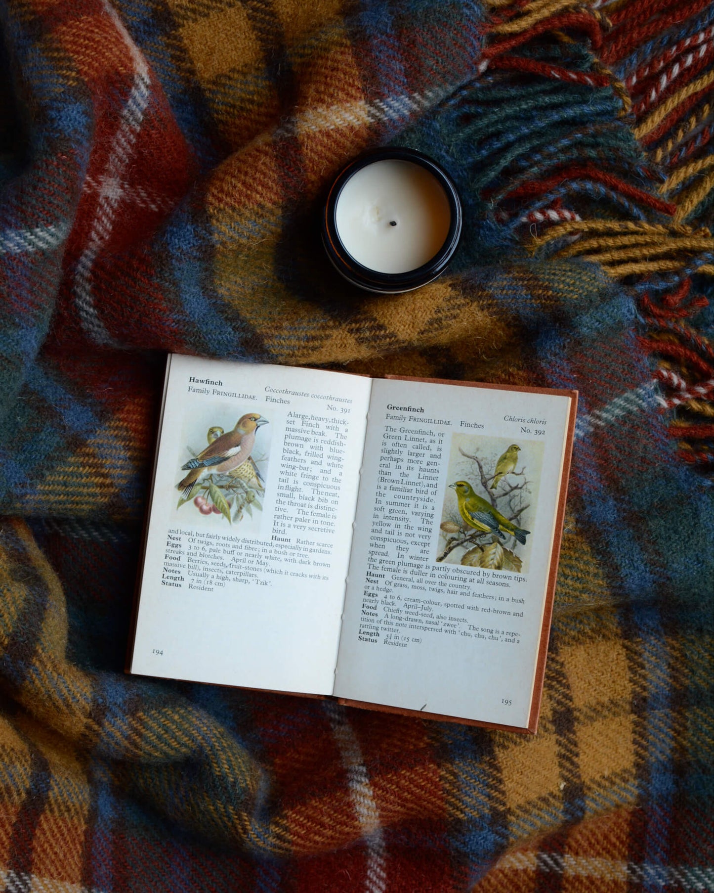 A plaid wool blanket, with tones of red, yellow and blue, with a book and candle.