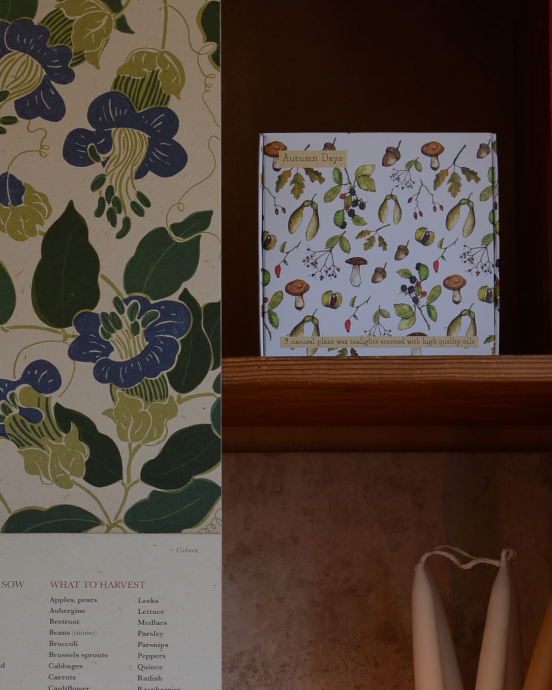 Autumn=scented tealights with botanical design on a wooden shelf next to botanical calendar.
