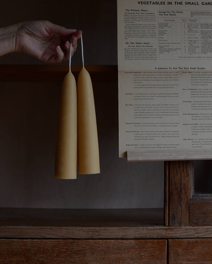 Hand holding a pair of stubby beeswax candles.