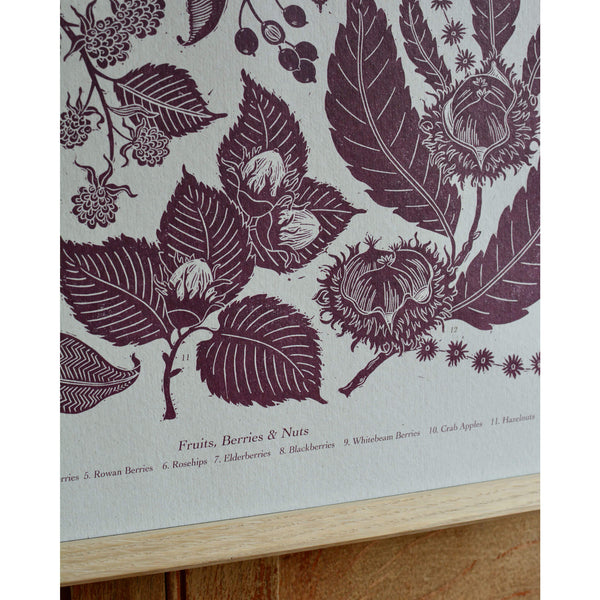 Close up of a botanical print in plum ink, depicting seasonal Autumn plants.