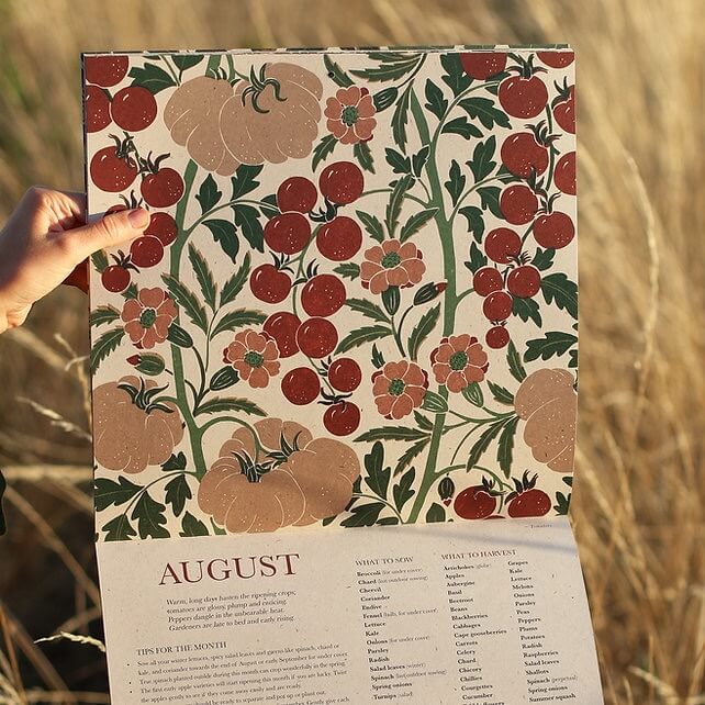 Close up of the August illustration of a botanical 2026 calendar.