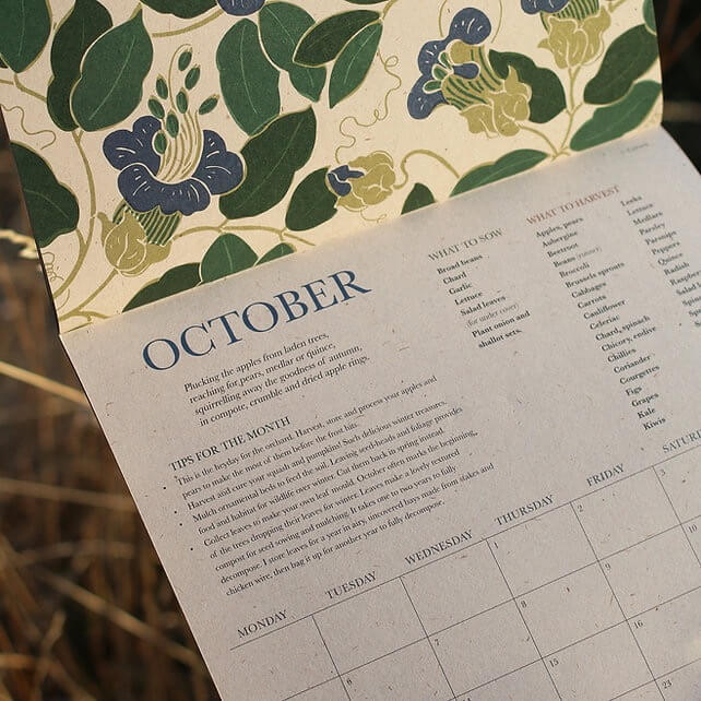 Close up of the October illustration of a botanical 2026 calendar.