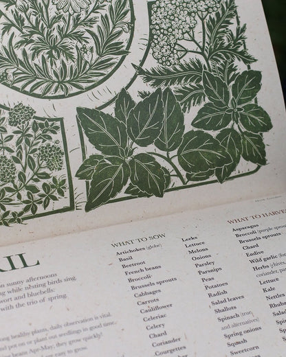 Isla Middleton Growing Through The Seasons 2027 Gardening Calendar