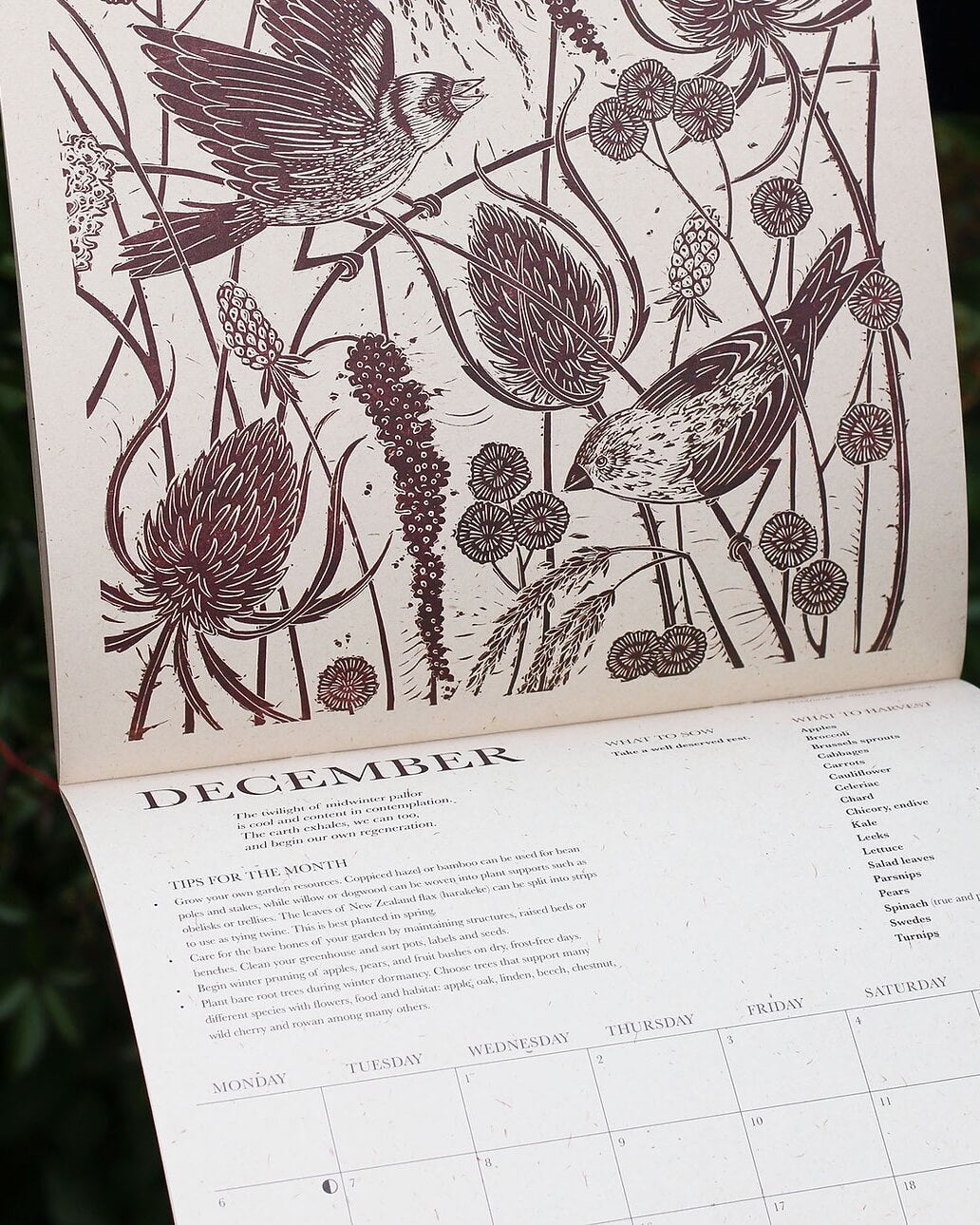 Isla Middleton Growing Through The Seasons 2027 Gardening Calendar
