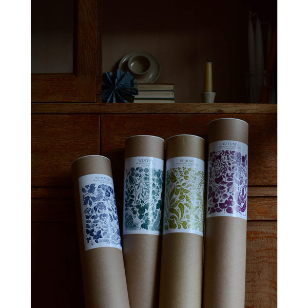 Set of 4 botanical prints, inside of cardboard tubes.