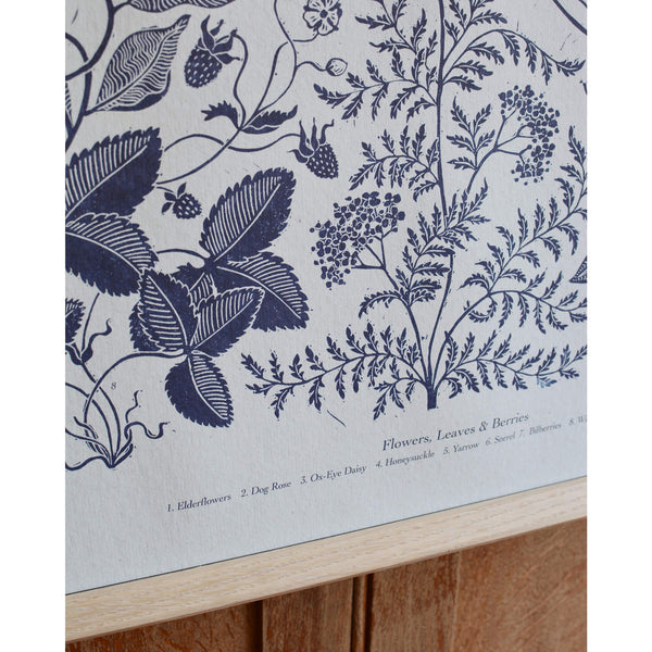 Close up of a botanical print in blue ink, depicting seasonal Summer plants.