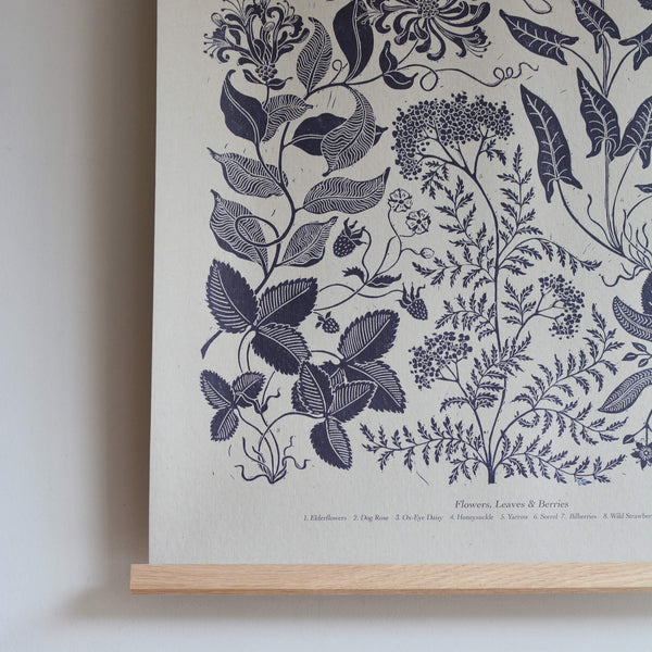 Close up of a botanical print in blue ink, depicting seasonal Summer plants.