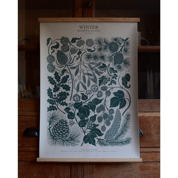 A large botanical print in a deep blue/green ink, depicting seasonal Winter plants. Displayed in an oak poster hanger.