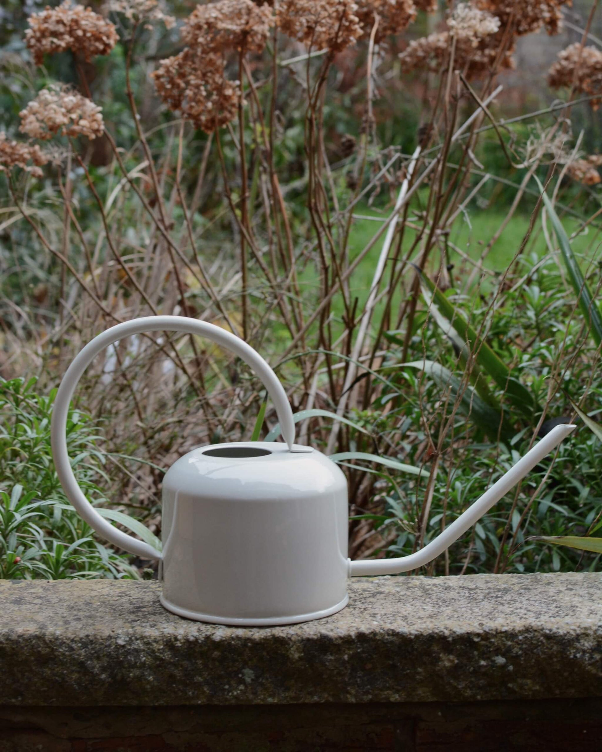 A pale grey watering can, shown on a garden wall with plants behind.