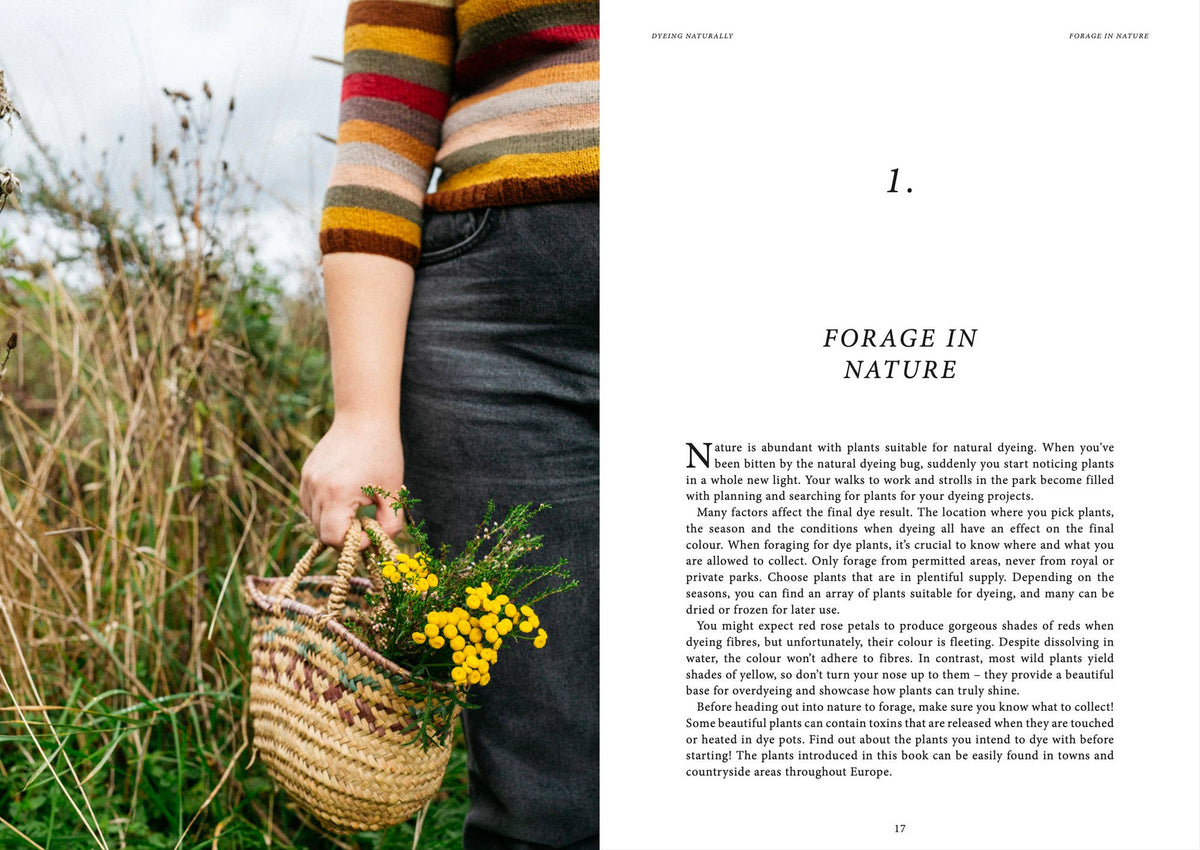 Dyeing Naturally Book