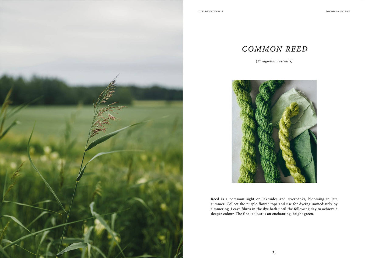 Dyeing Naturally Book
