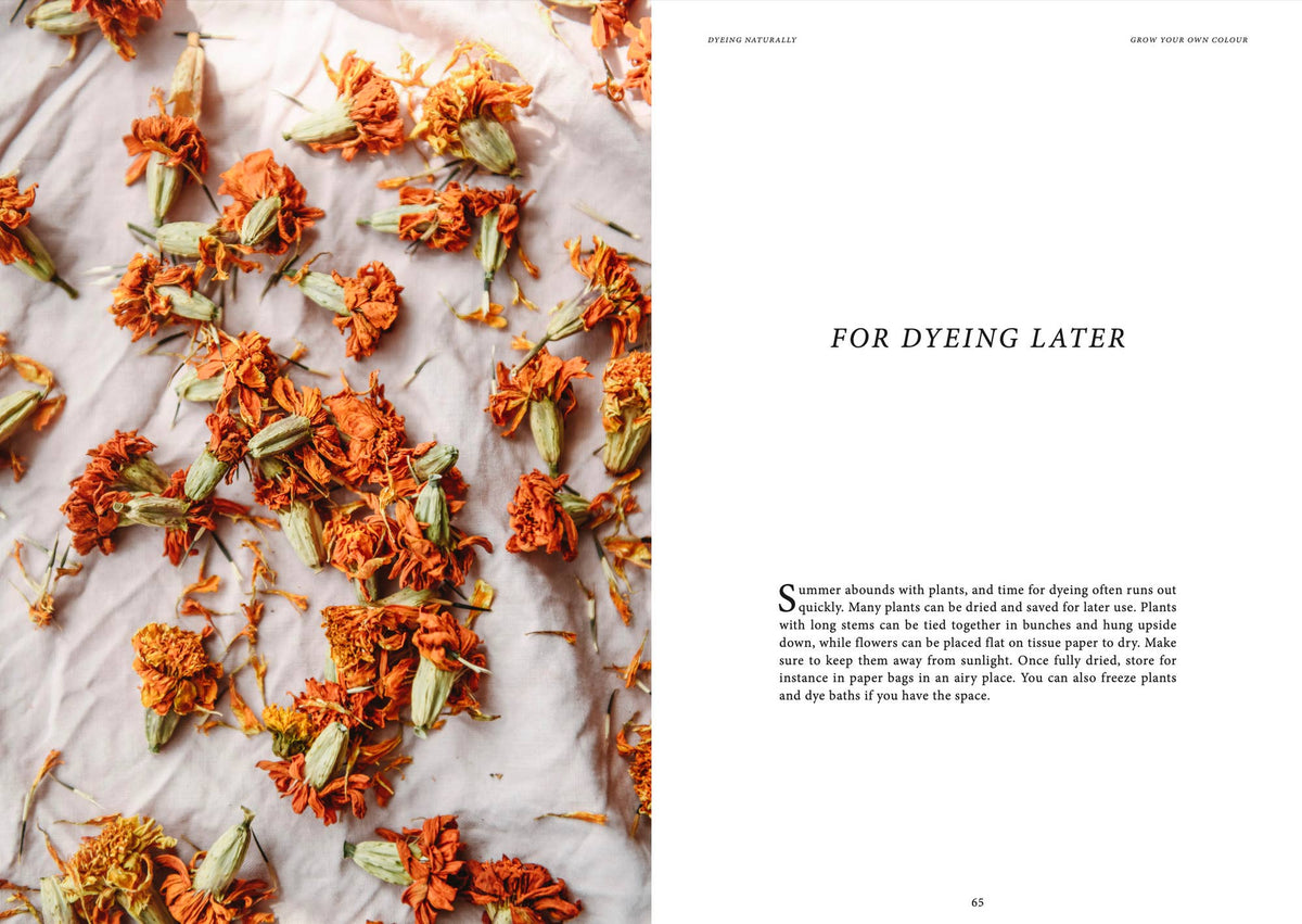 Dyeing Naturally Book
