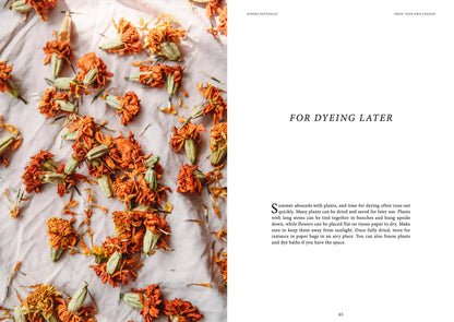 Dyeing Naturally Book