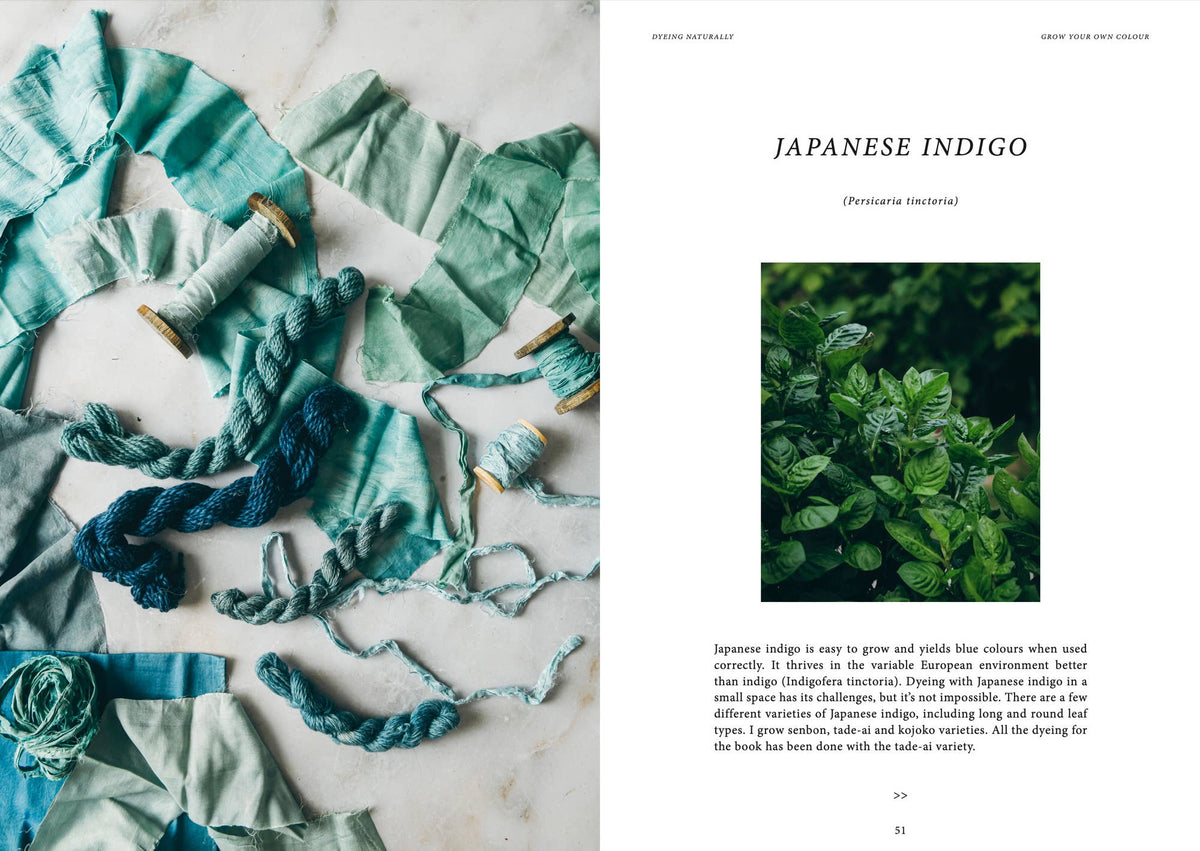 Dyeing Naturally Book