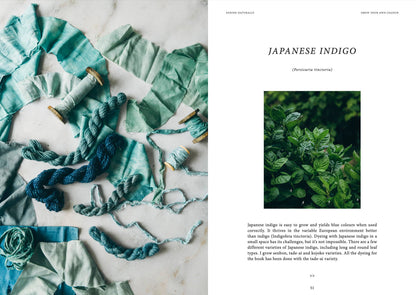 Dyeing Naturally Book