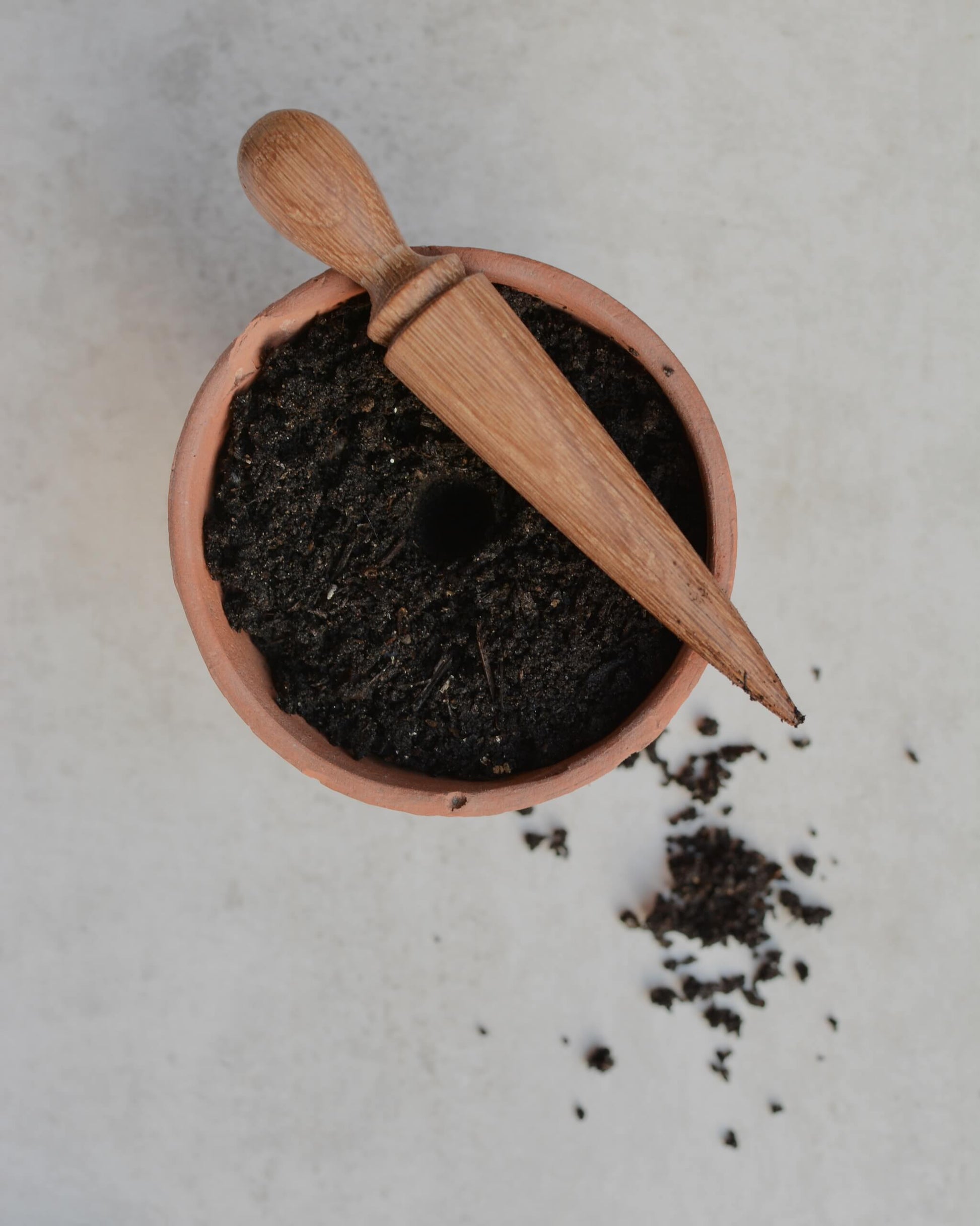 Terracotta pot with soil and a wooden tool on a light background