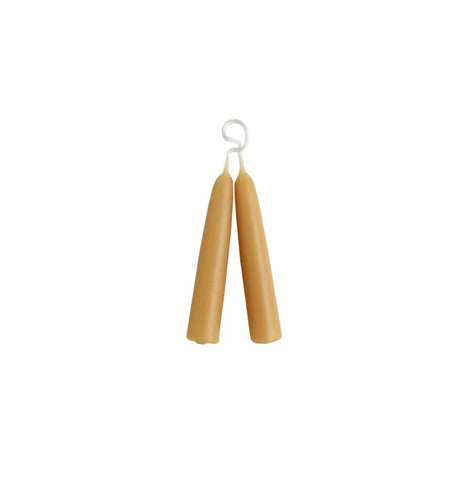 A pair of small beeswax taper candles, on a white background.